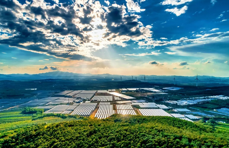 回眸2025 | 三产融合拓富路，城乡互动增活力——临港区以绿色画笔 绘融合新卷