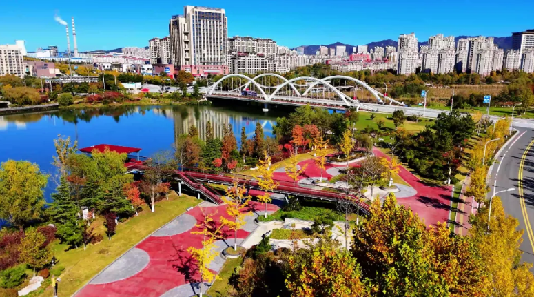 秋韵未央！来临港，邂逅五彩斑斓的美！