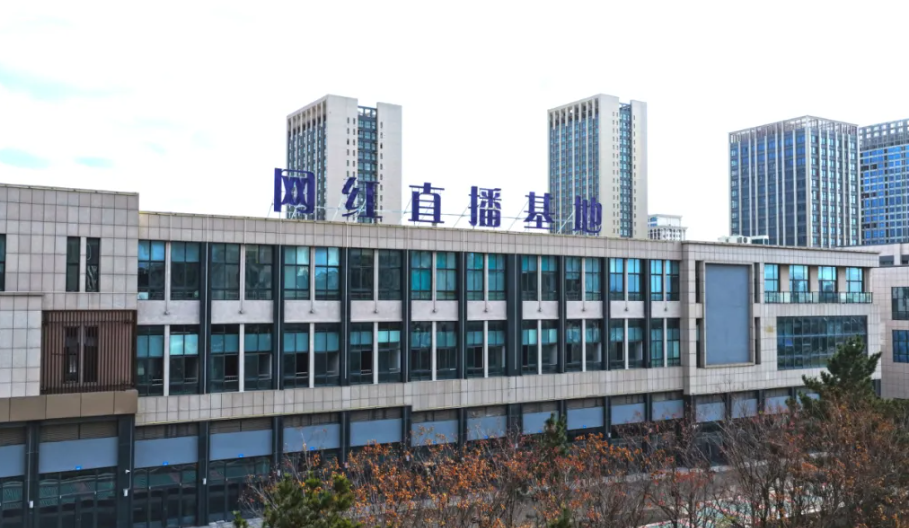 “素人”变“主播”！临港区网红直播基地架起电商“数字桥梁”