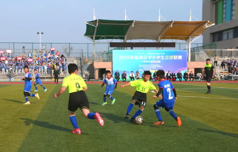 足球进校园，绿茵竞风采——2025年临港区中小学生足球联赛圆满落幕