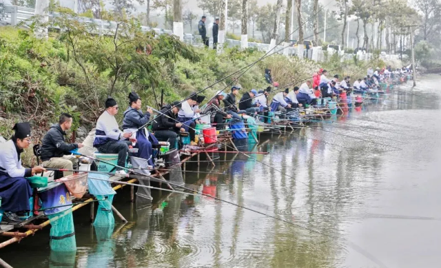2025“太公缘杯”第二届全国休闲垂钓邀请赛暨“渔郎织女”桑麻文化嘉年华在临港区举办
