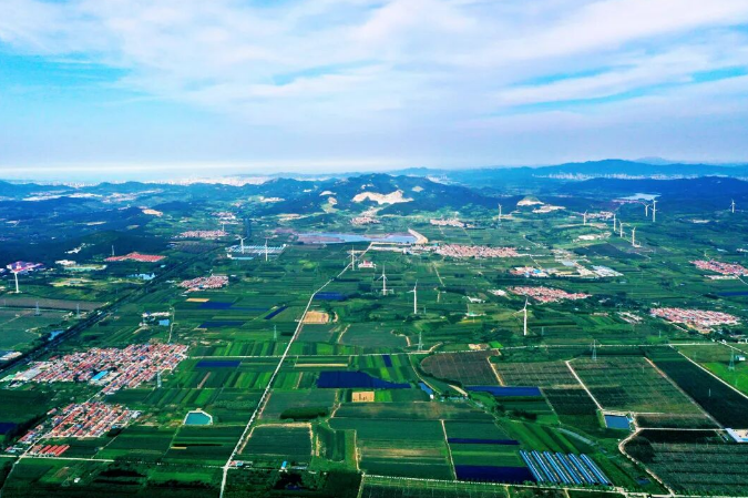 威海市数字乡村建设工作现场推进会议走进临港区