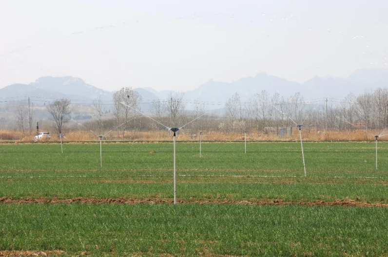 从“靠天吃饭”到“科技种田”，临港春耕添“智”力