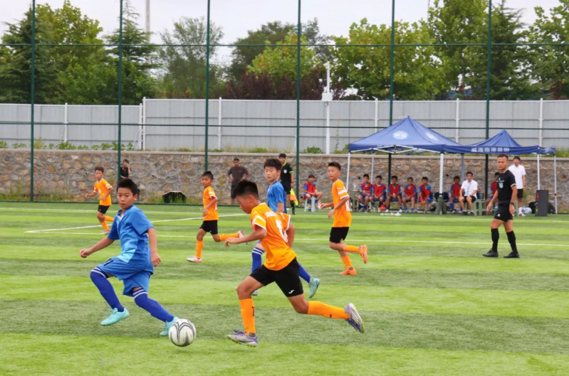 绿茵逐梦 少年扬威！2026年山东省“省长杯”青少年校园足球联赛（小学组）在临港区举行