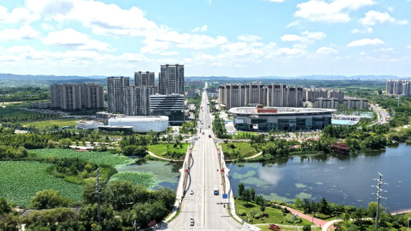 接连获评省级荣誉！精耕城市治理 绘就宜居临港