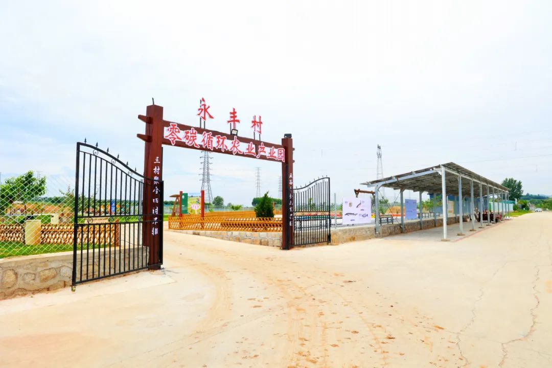 新村新产新气象|鱼粪养出有机果，光伏点亮振兴路——临港区草庙子镇零碳循环农业产业园投产在即
