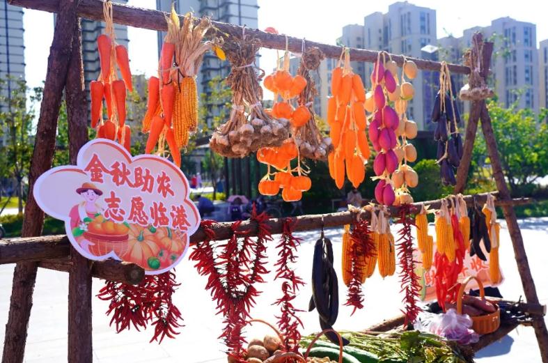 临港区“金秋助农·志愿同行”活动举行