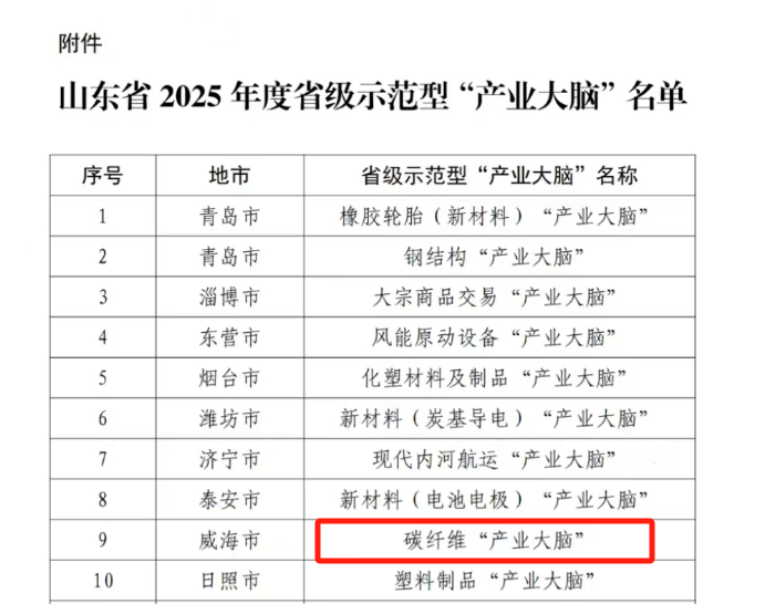 为产业升级装上“智慧中枢”！碳纤维“产业大脑”上榜省级示范型“产业大脑”名单